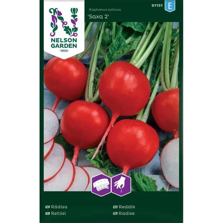 Rädisa 'Saxa 2'
