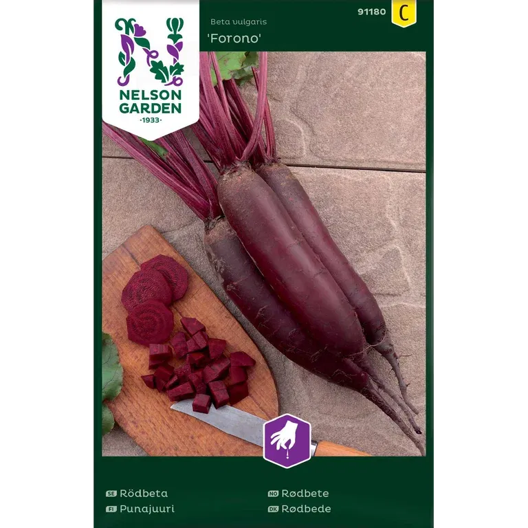 Rödbeta 'Forono'