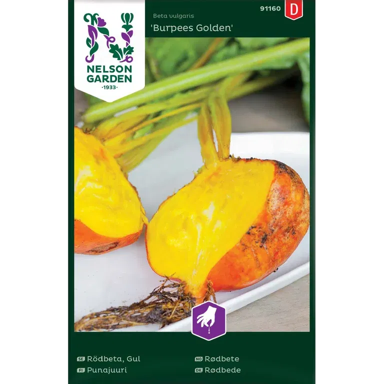 Gulbeta 'Burpees Golden'