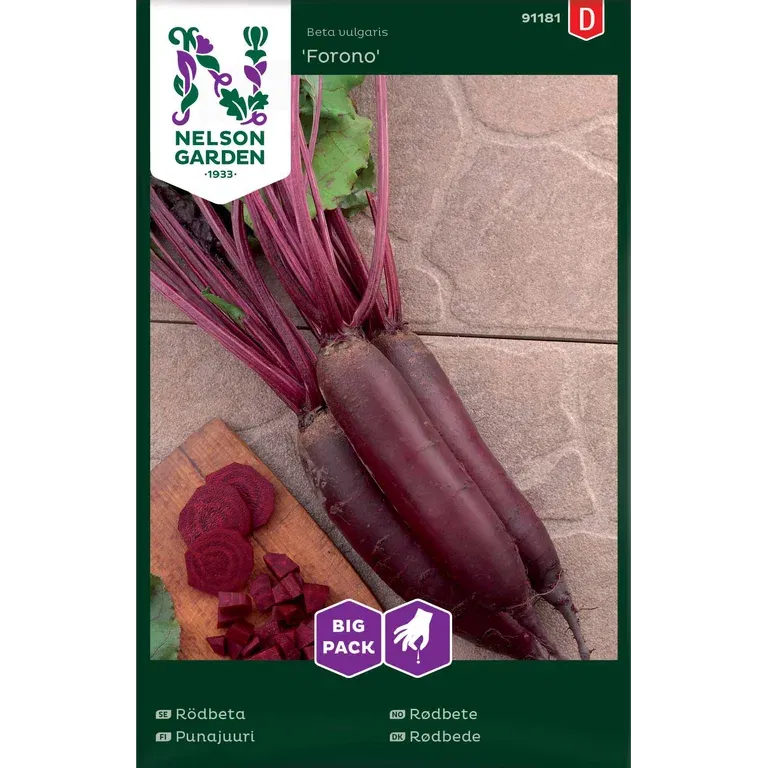 Rödbeta 'Forono'