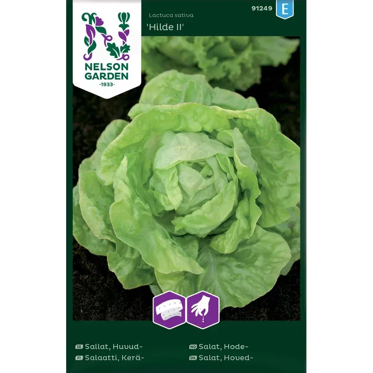 Huvudsallat 'Hilde II'