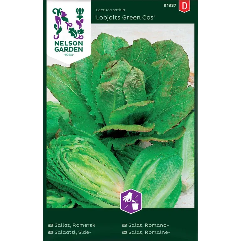 Romansallat 'Lobjoits Green Cos'