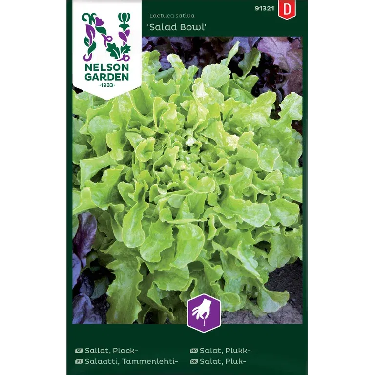 Plocksallat 'Salad Bowl'