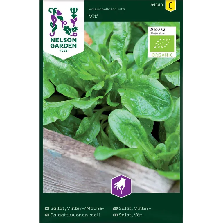 Vintersallat/Mâchesallat 'Vit'