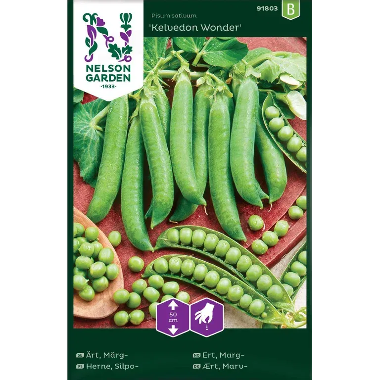 Märgärt 'Kelvedon Wonder'