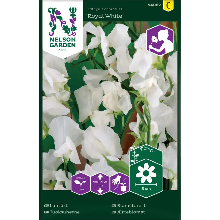 Luktärt 'Royal White'