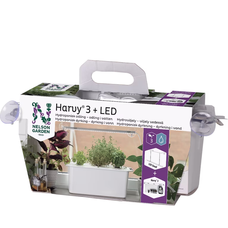 Harvy 3 Presentförpackning