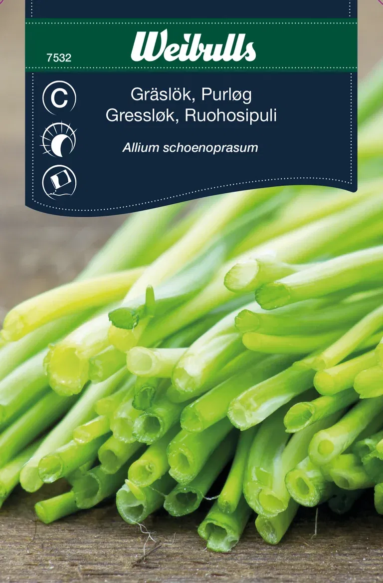 Gräslök