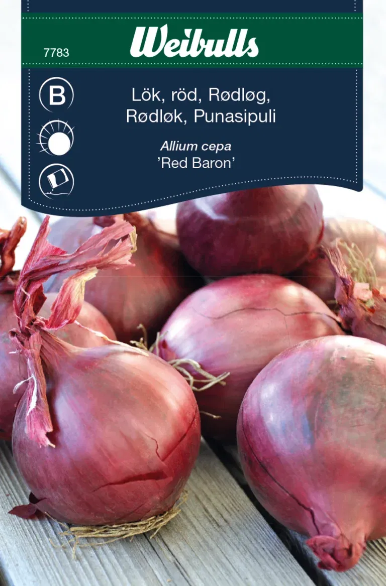 Rödlök 'Red Baron'