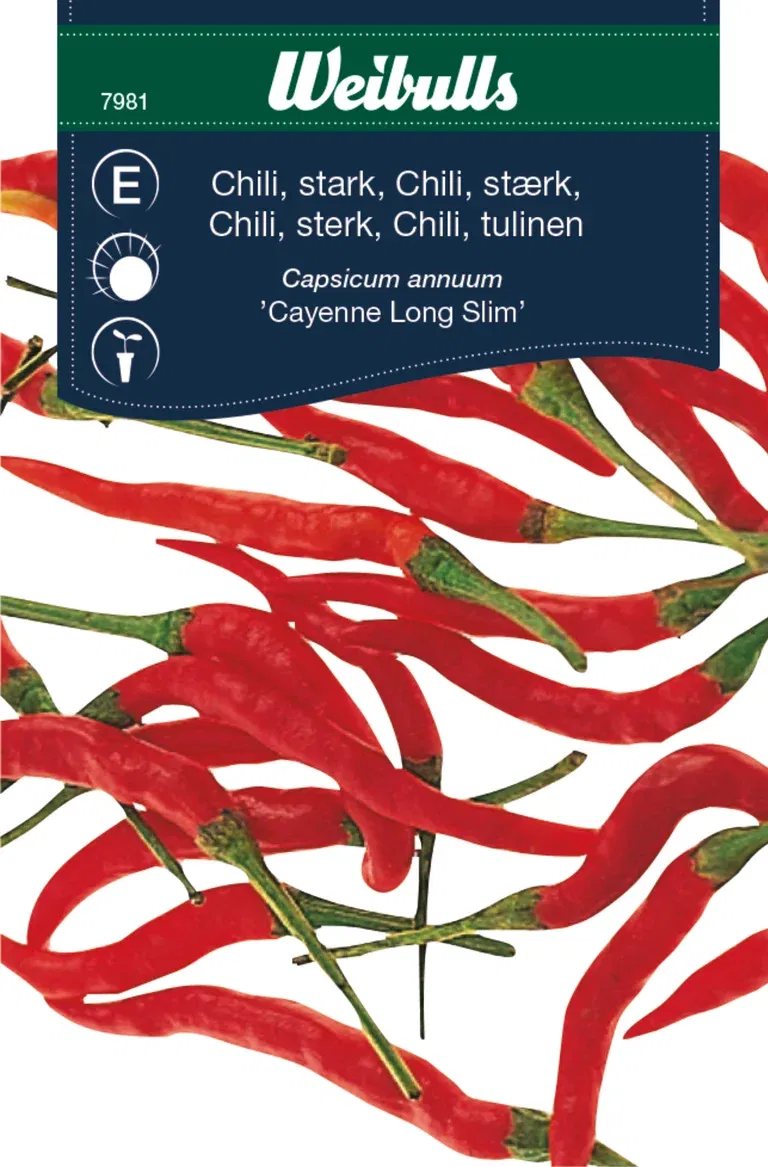 Chili 'Cayenne Long Slim'