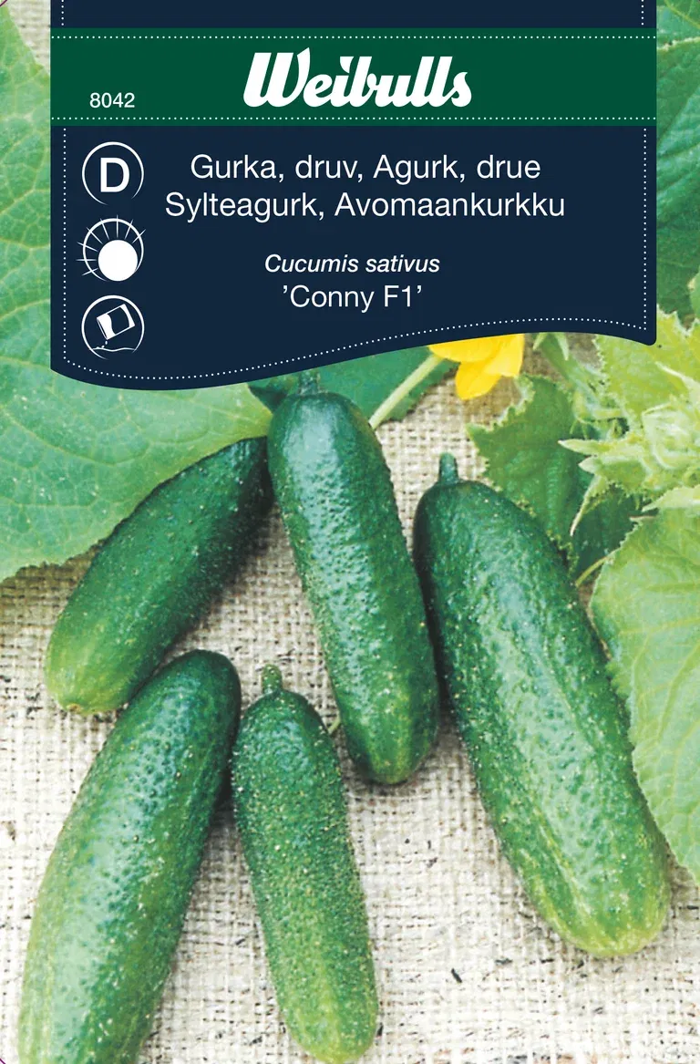 Gurka 'Conny F1'