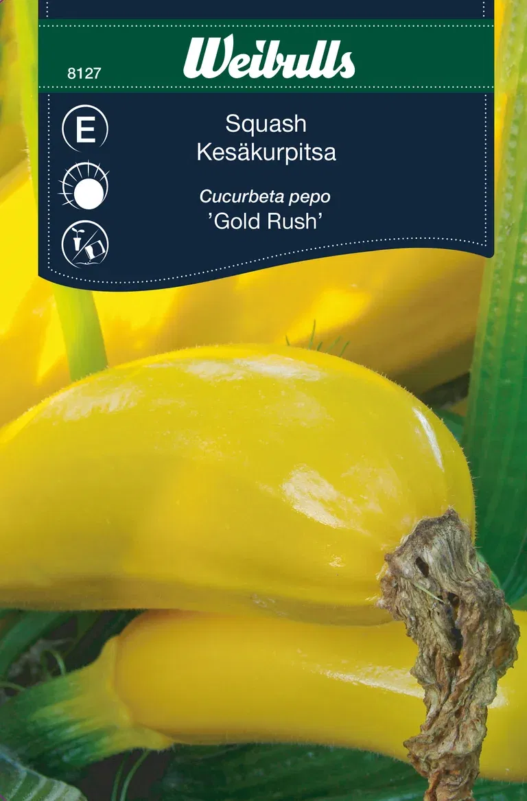 Squash 'Gold Rush'