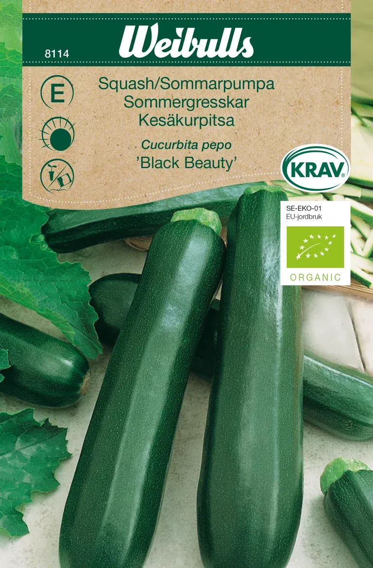 Squash 'Black Beauty' KRAV
