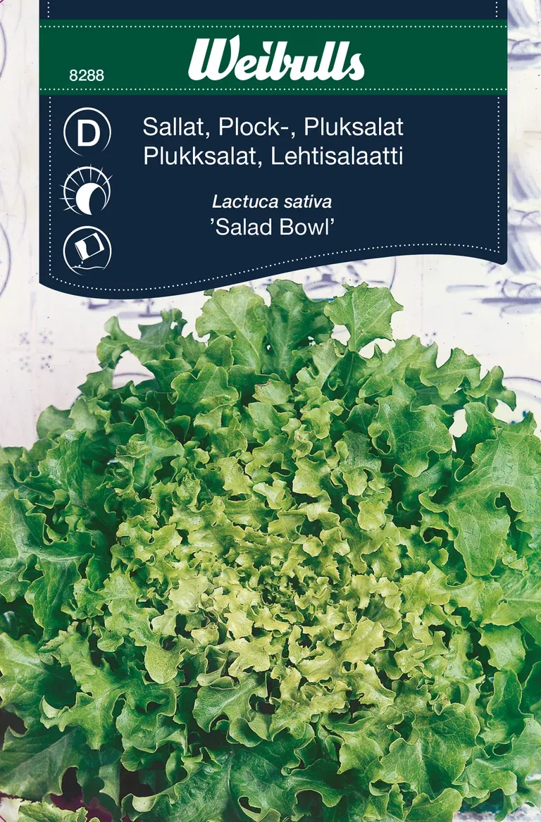Plocksallat 'Salad Bowl'