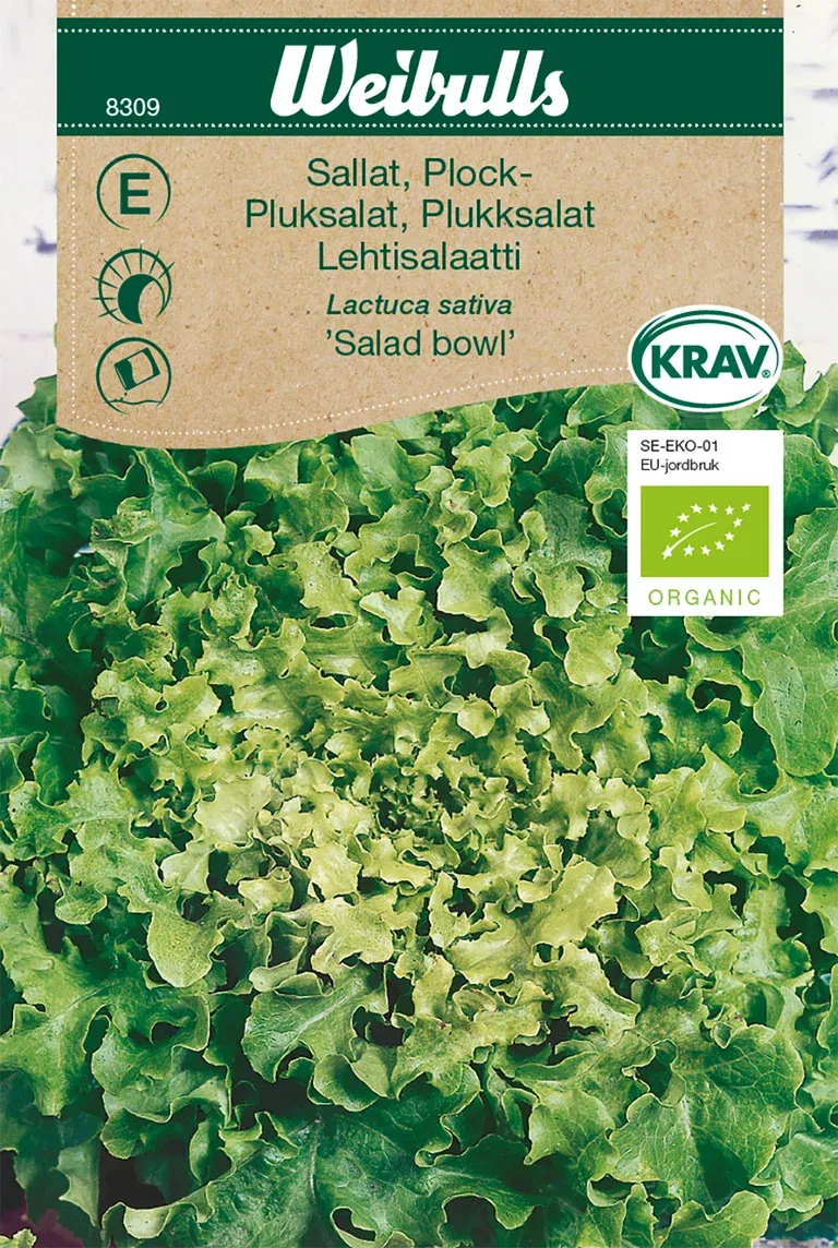 Plocksallat 'Salad Bowl' KRAV