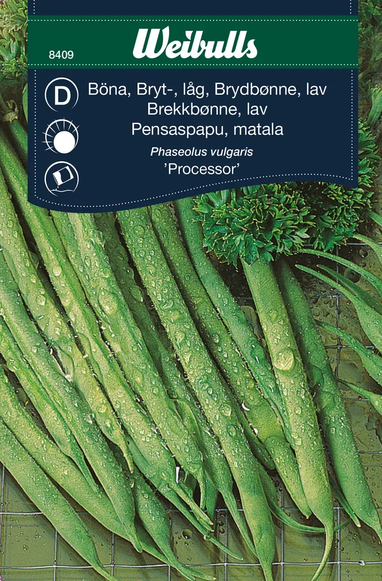 Brytböna 'Processor'