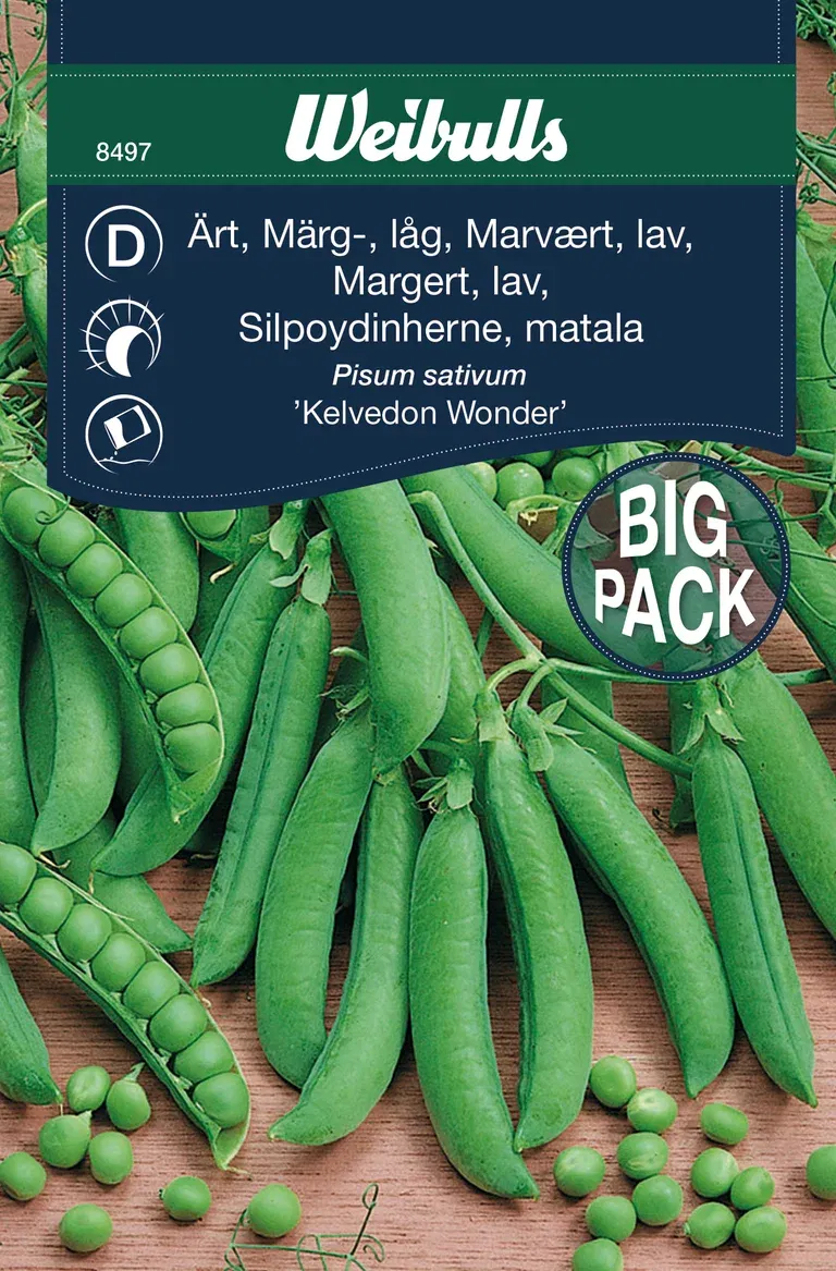 Märgärt 'Kelvedon Wonder'