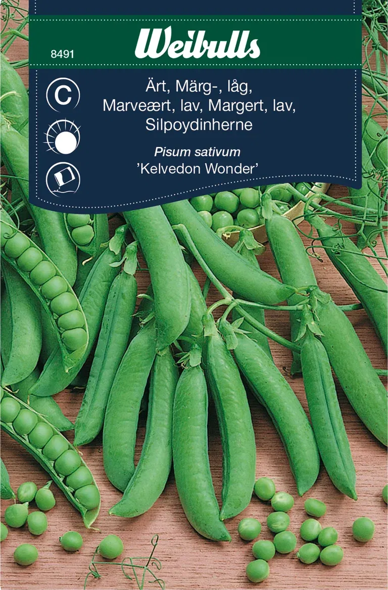 Märgärt 'Kelvedon Wonder'