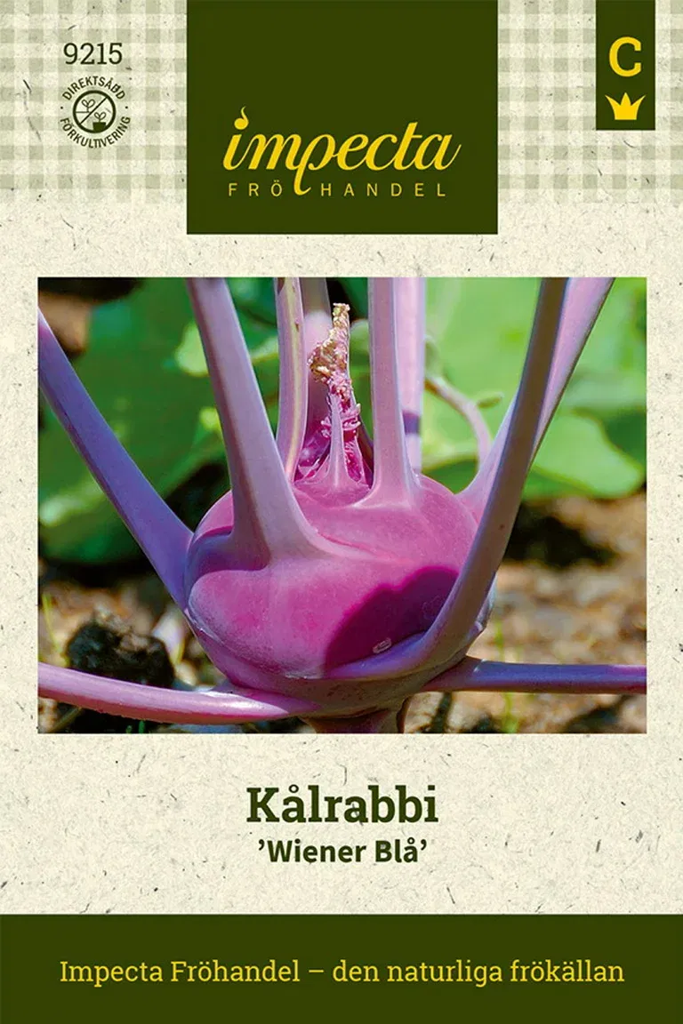 Kålrabbi 'Wiener Blå'