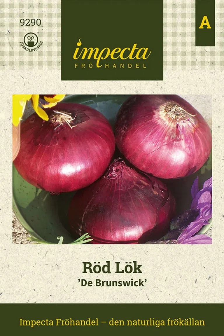 Röd Lök 'Red Brunswick'