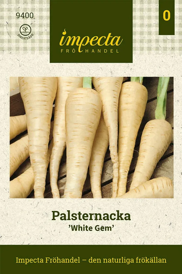 Pastinaca sativa 'White Gem'