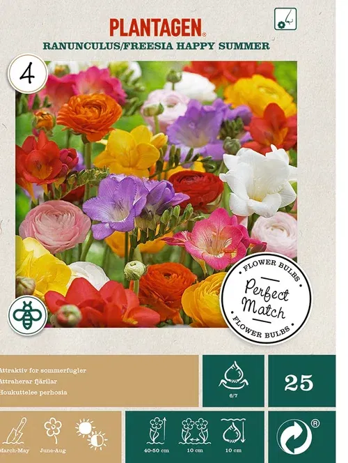 Ranunkel och freesia mix happy summer