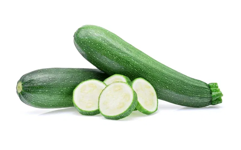 Sommarsquash 'Ladoga'