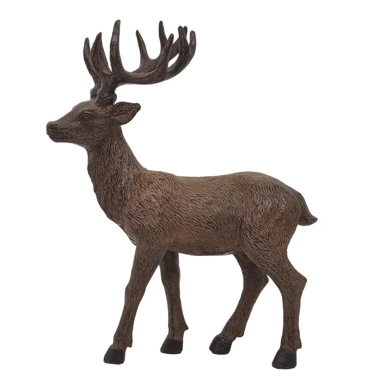 Deer Cervus