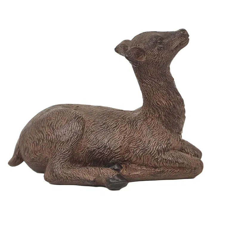 Deer Cervus 