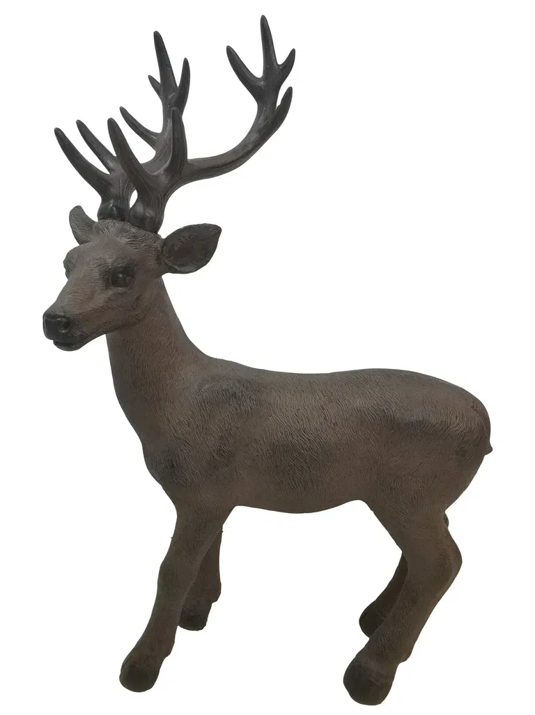 Cervus deer H70 brown