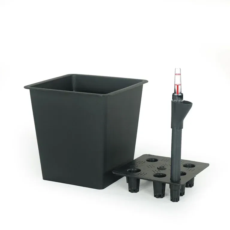 Kinsley Insert Pot