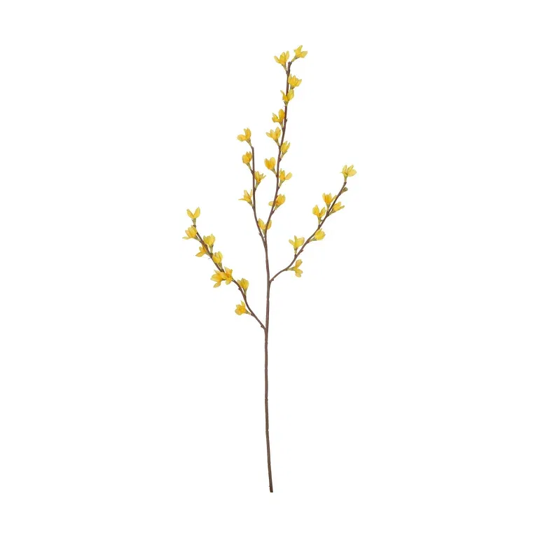Forsythiakvist konstgjord