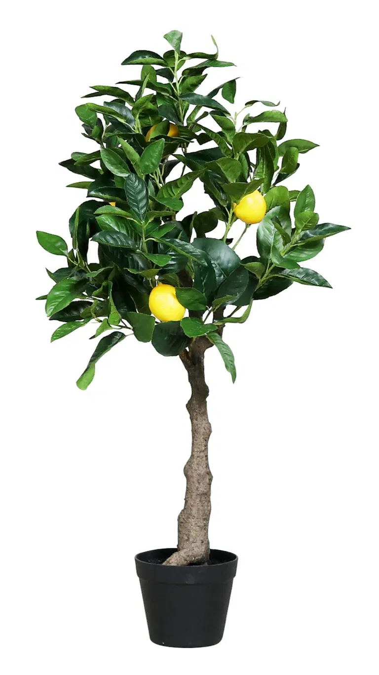 Citronträd konstgjord