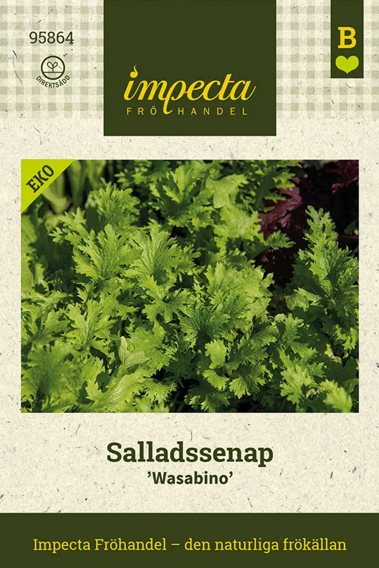 Salladssenap 'Wasabino'