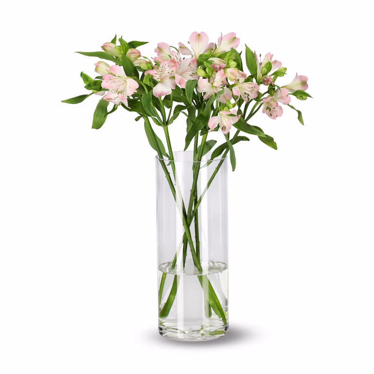 Alstroemeria