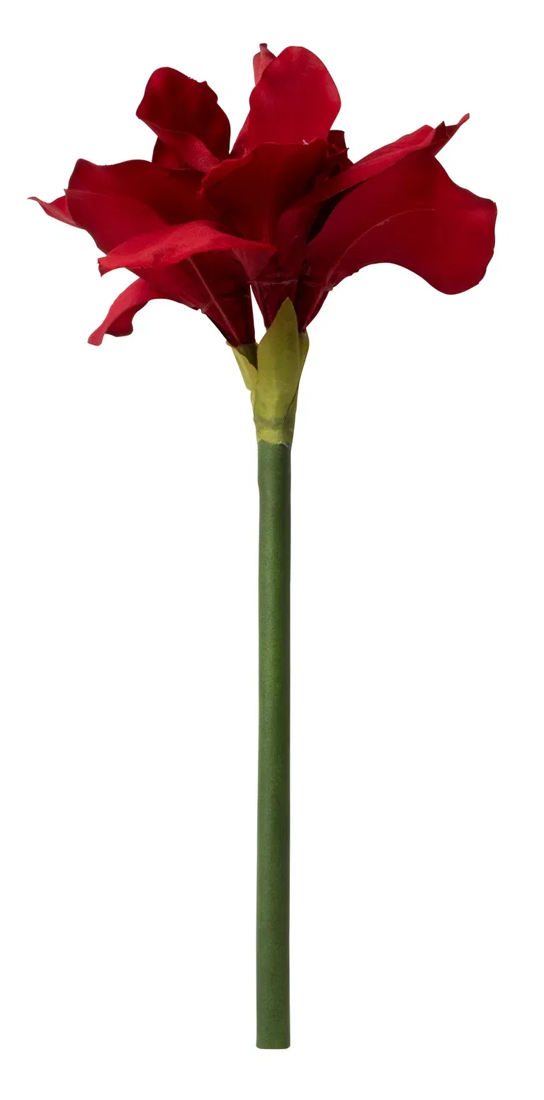 Amaryllis konstgjord
