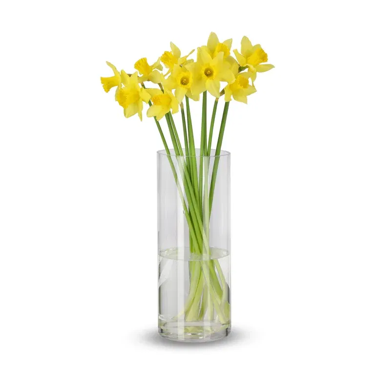 Narcis Carlton 10pk Easter