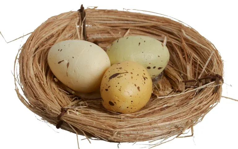 Påskdekoration Nest