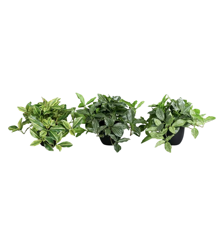 Gröna växter assorterad konstgjorda