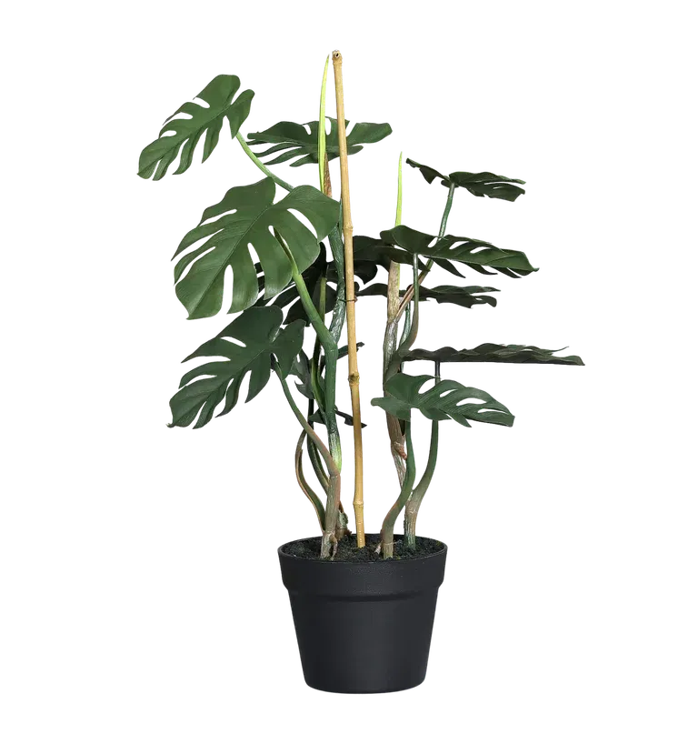 Monstera i kruka konstgjord