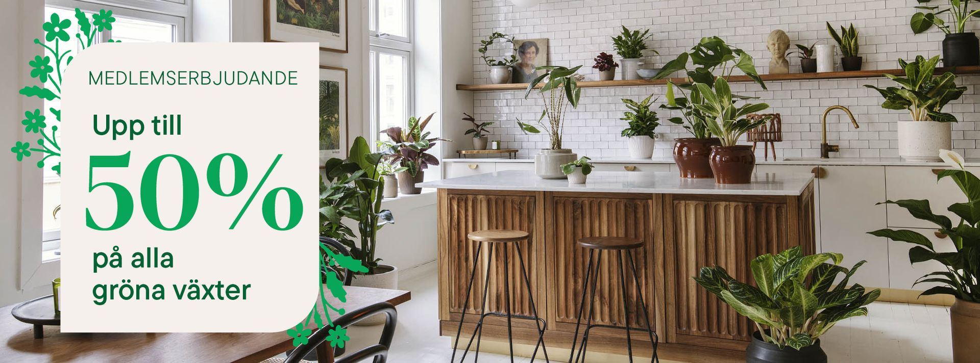 This is an image illustration of  30% off all Mediterranean plants