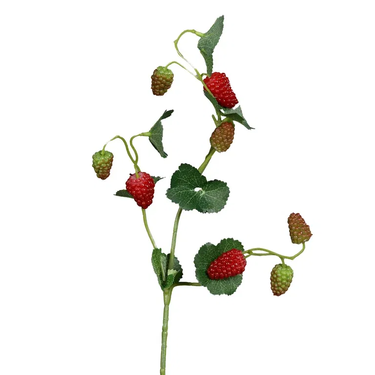 Hallon kvist konstgjord