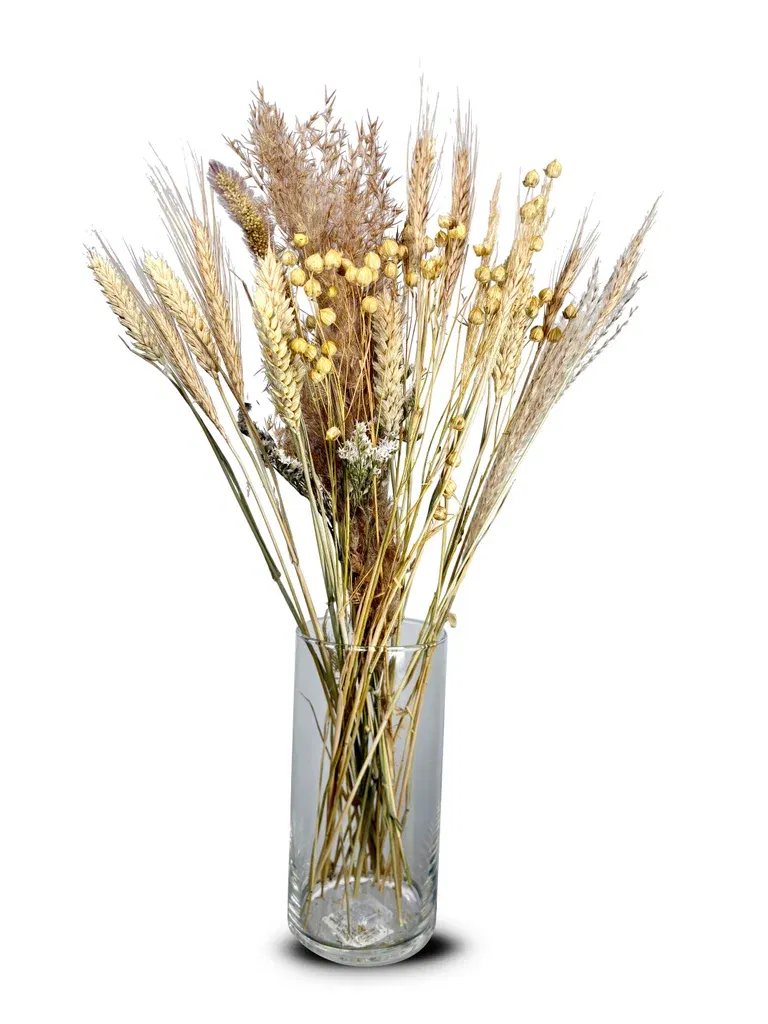 Bukett Torkade blommor Naturfärger