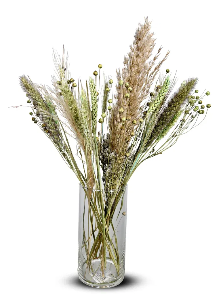 Bukett torkade blommor Grön/Natur