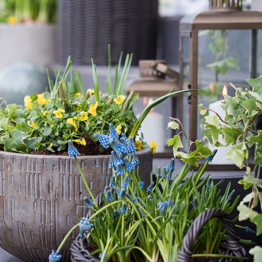 This is an image illustration of  Le hero