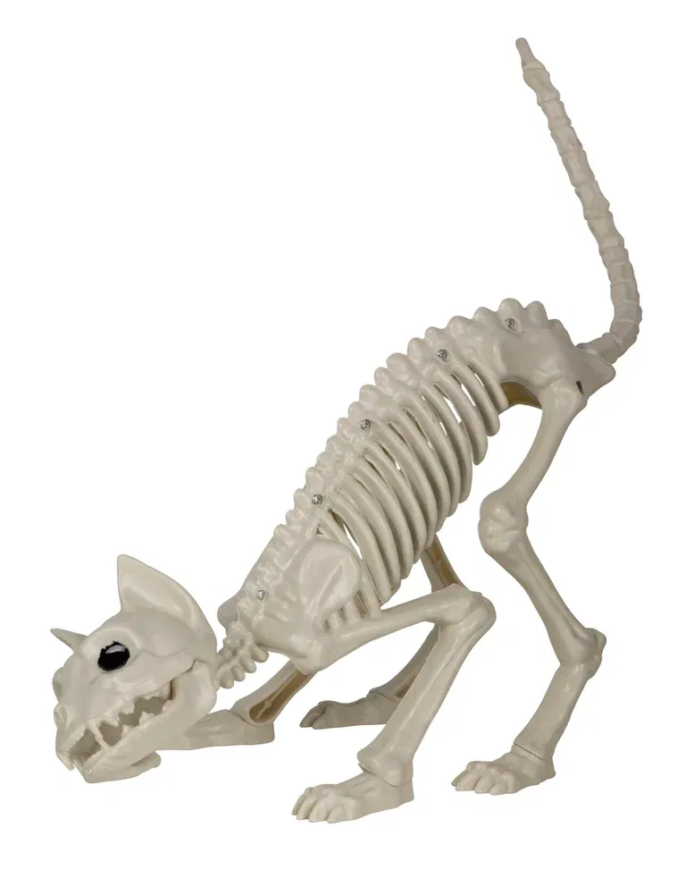 Halloween-dekoration Kattskelett