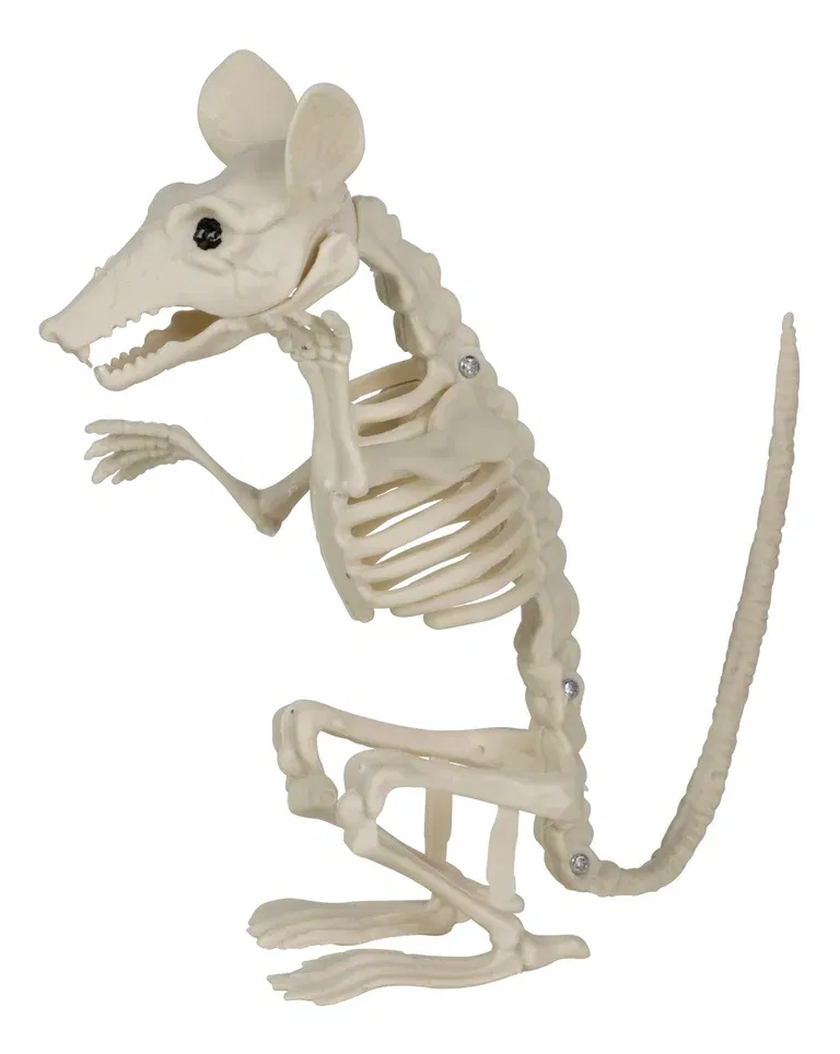 Halloween-dekoration skelett råtta