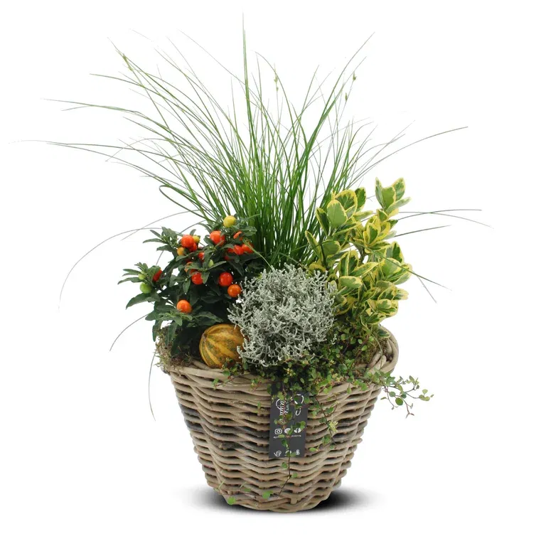 Autumn dec. Outdoor in basket Orange XL