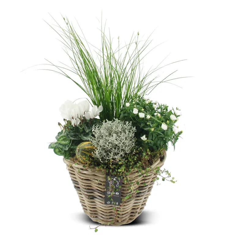 Autumn dec. Outdoor in basket white XL