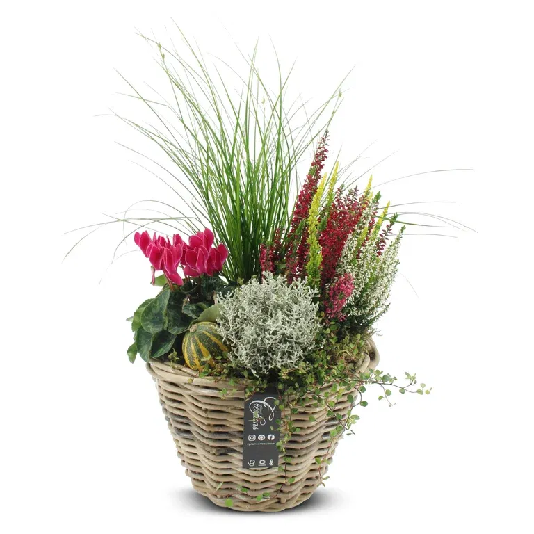 Autumn dec. Outdoor in basket Pink XL